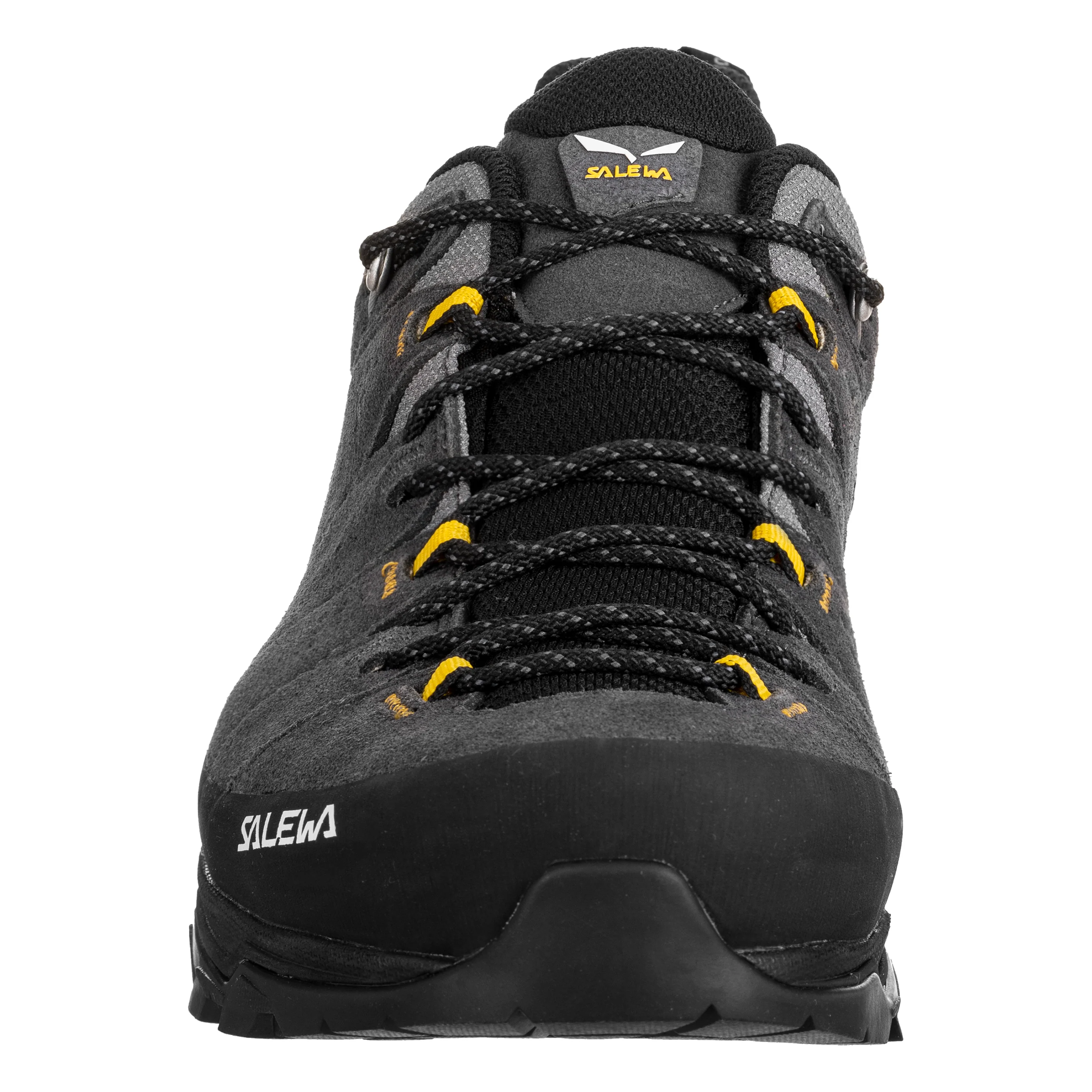 Salewa Mens Alp Trainer 2 Gore-Tex Shoe - Image 4