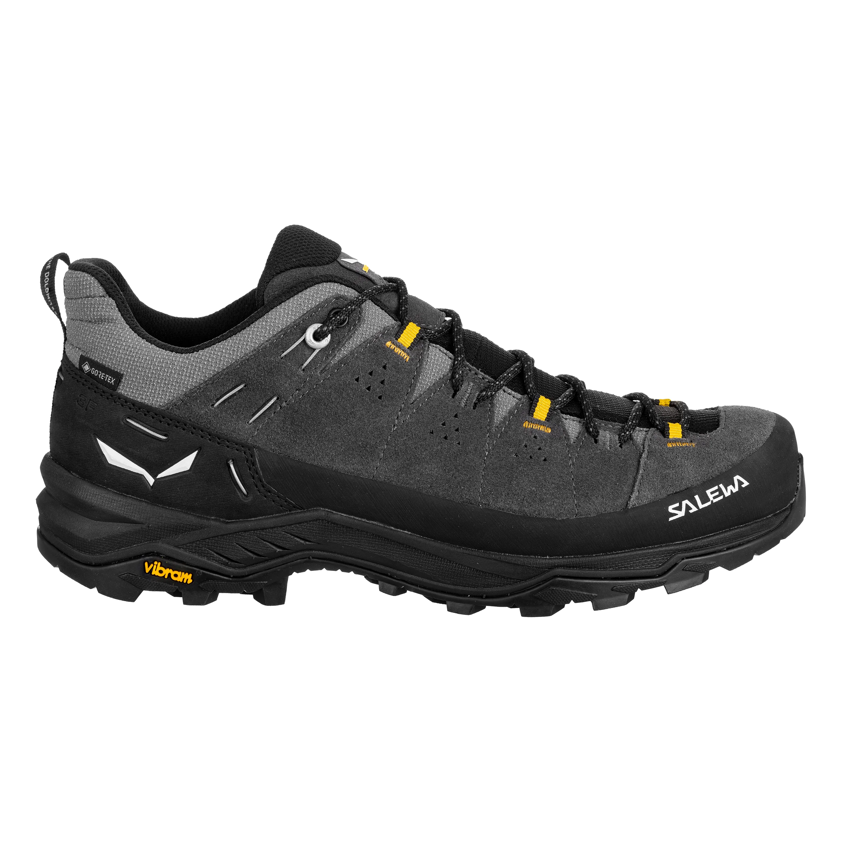 Salewa Mens Alp Trainer 2 Gore-Tex Shoe - Image 5